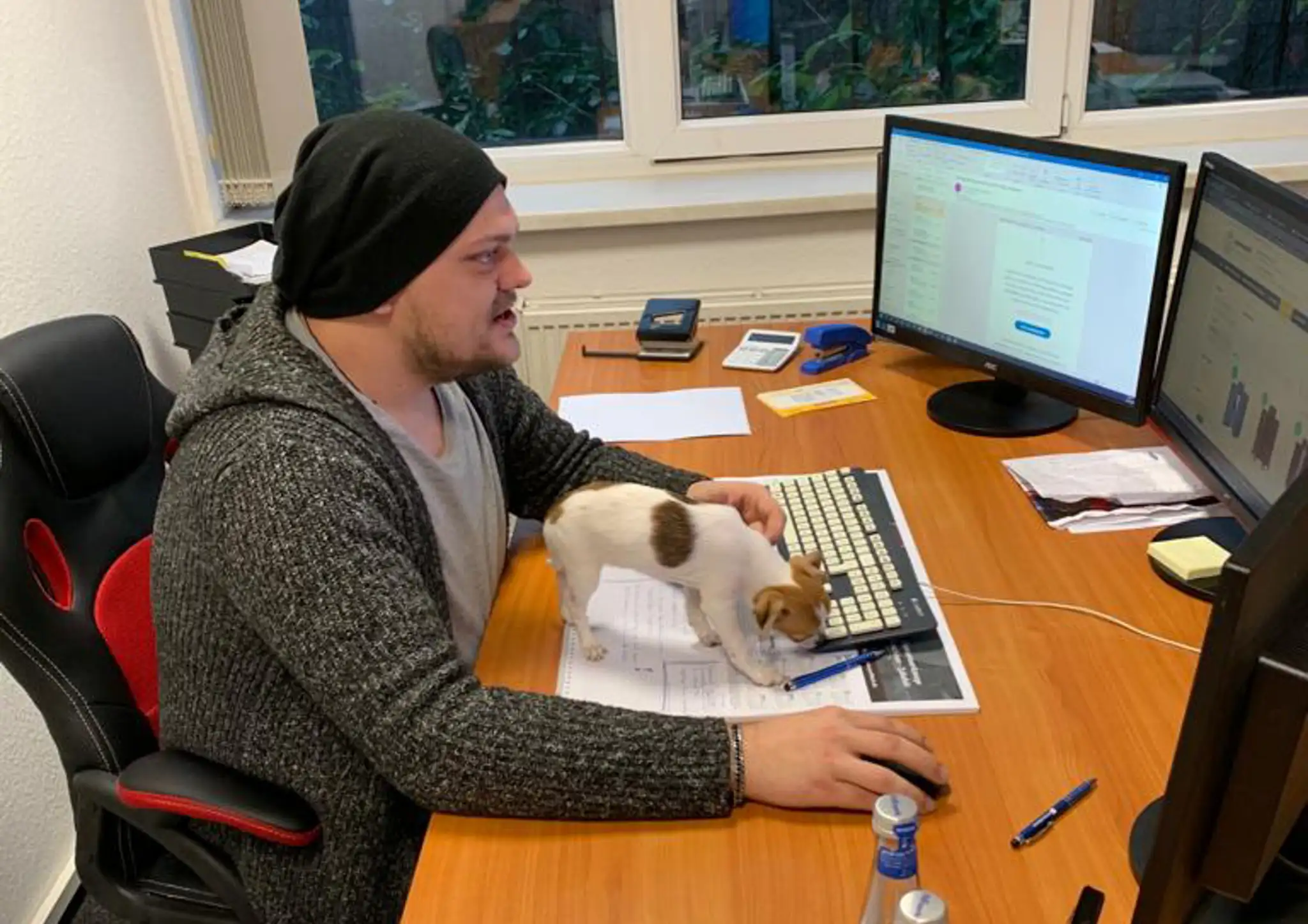 Patrick am Schreibtisch mit Hund